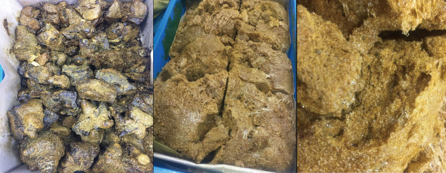 微波真空膨化干燥的中藥浸膏