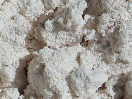 微波真空低溫干燥的 茶多酚