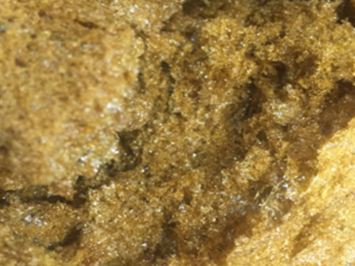 微波真空低溫干燥的 中藥浸膏膨化