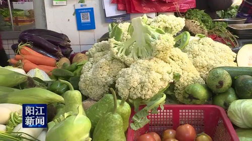 本地農產品源源上市，陽江菜籃子有保障